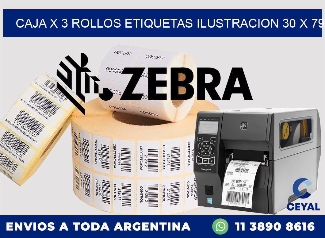 Caja X 3 Rollos Etiquetas Ilustracion 30 x 79
