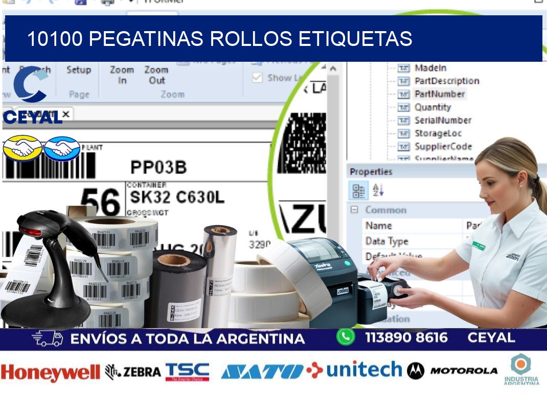 10100 Pegatinas rollos etiquetas