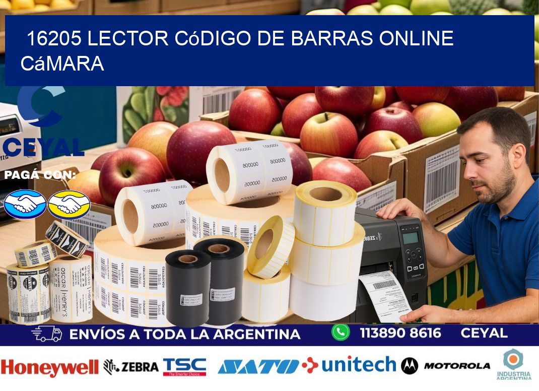 16205 Lector código de barras online cámara
