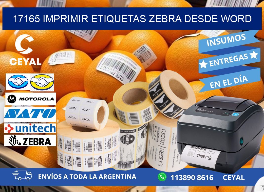 17165 imprimir etiquetas zebra desde word