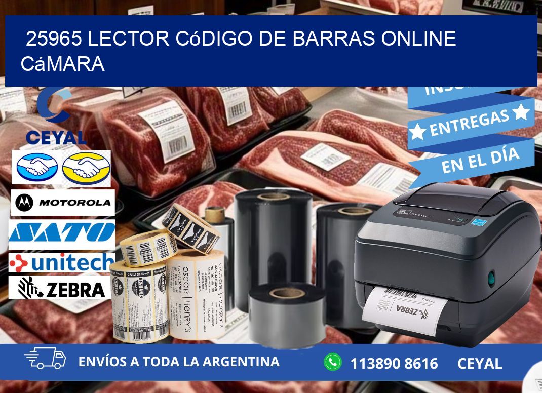 25965 Lector código de barras online cámara