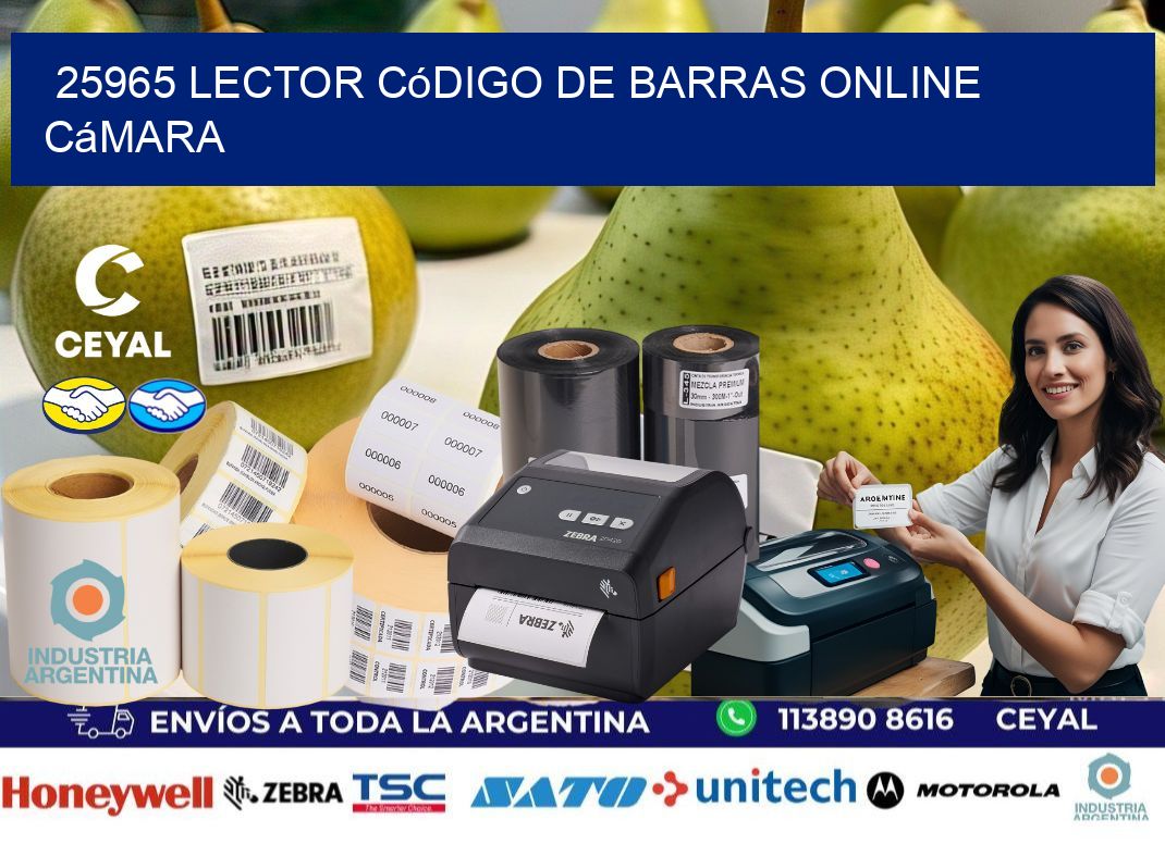 25965 Lector código de barras online cámara