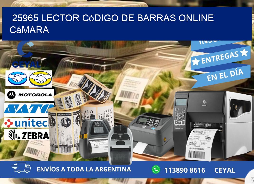 25965 Lector código de barras online cámara