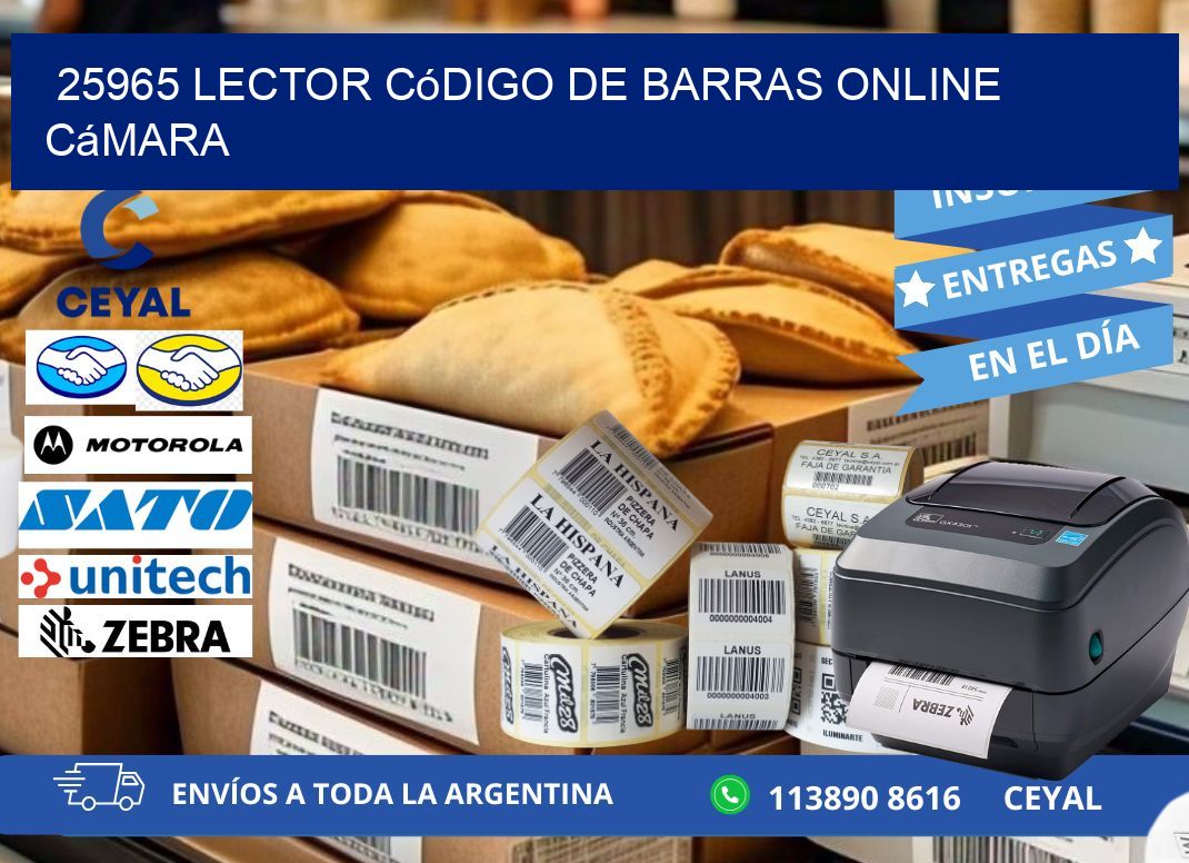 25965 Lector código de barras online cámara