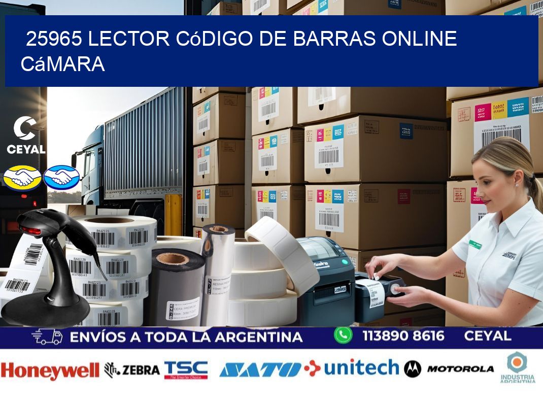 25965 Lector código de barras online cámara