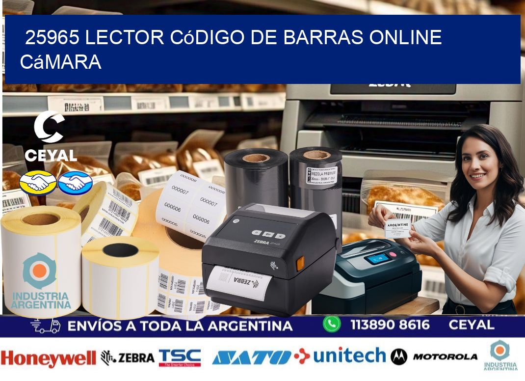 25965 Lector código de barras online cámara