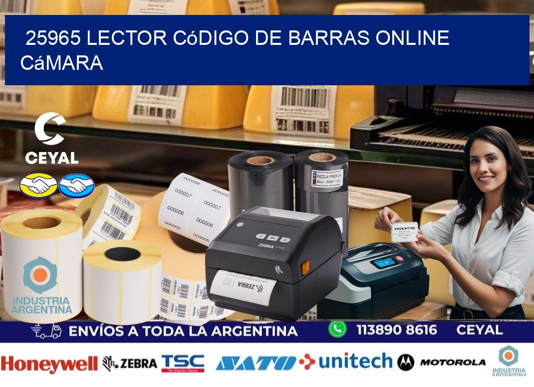 25965 Lector código de barras online cámara