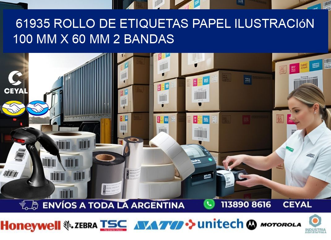 61935 Rollo de Etiquetas Papel Ilustración 100 mm x 60 mm 2 Bandas