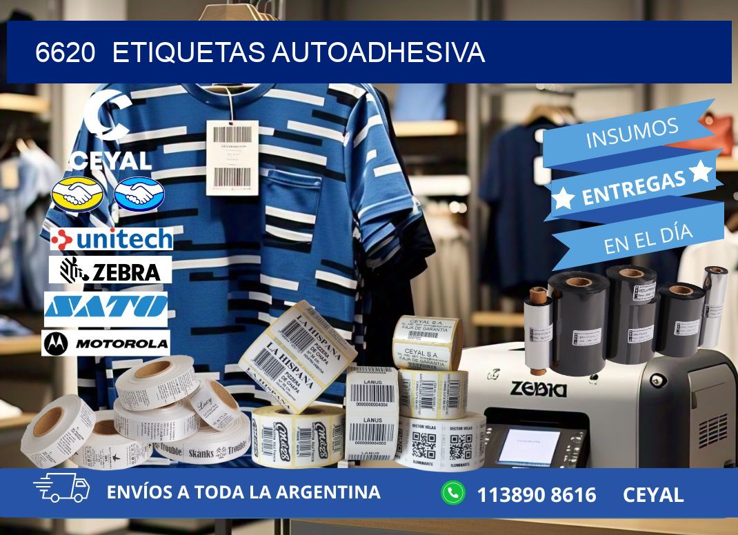 6620 etiquetas autoadhesiva