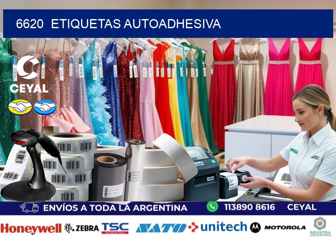 6620 etiquetas autoadhesiva