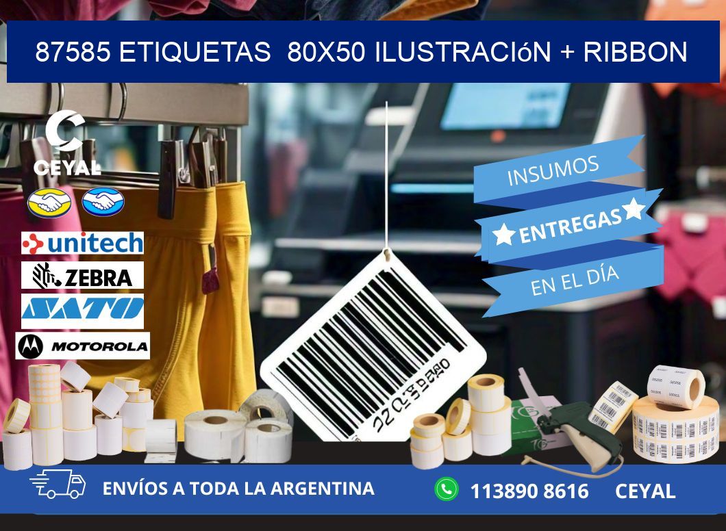 87585 etiquetas 80x50 ilustración + ribbon