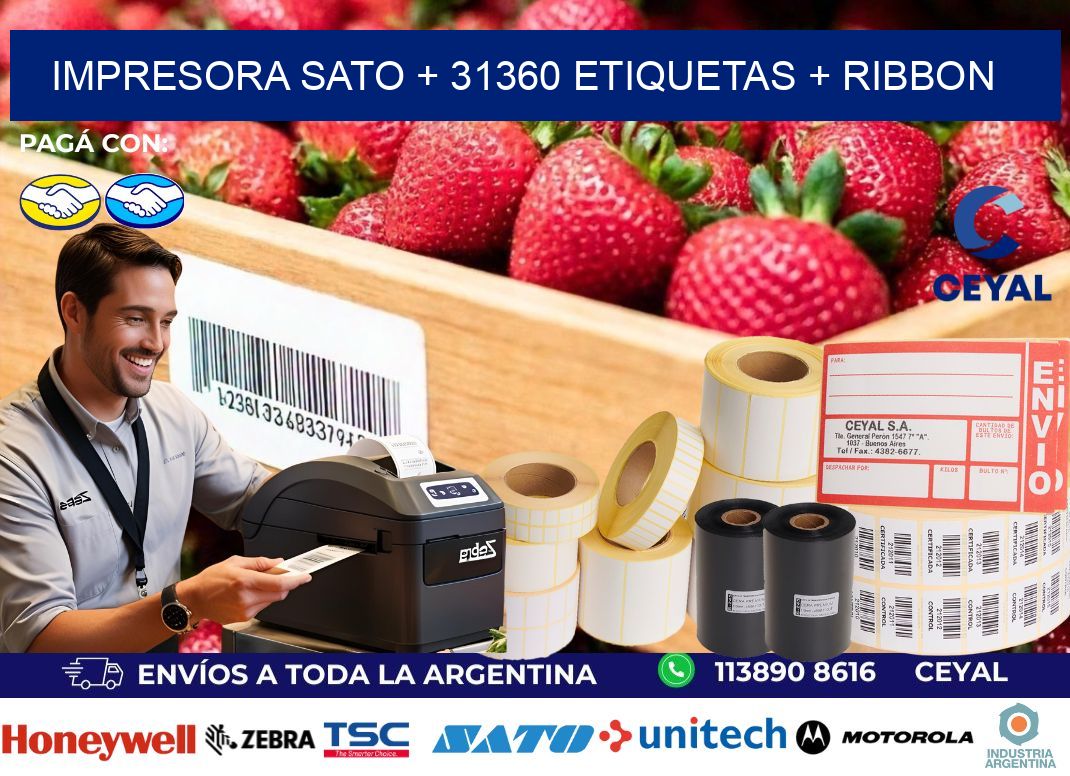 impresora SATO + 31360 etiquetas + ribbon