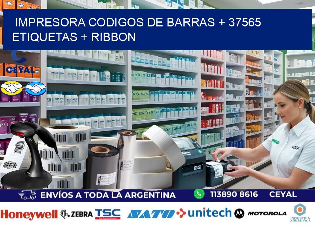 impresora codigos de barras + 37565 etiquetas + ribbon