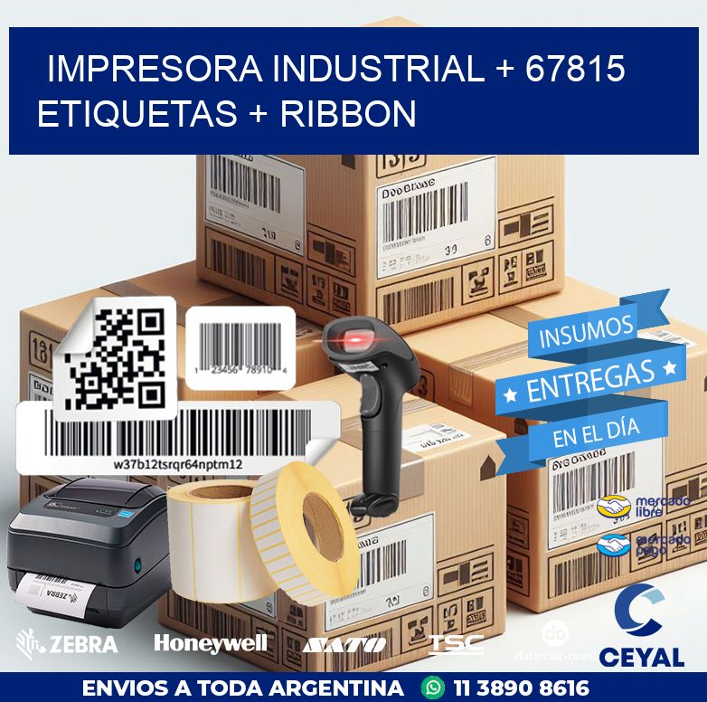 impresora industrial + 67815 etiquetas + ribbon