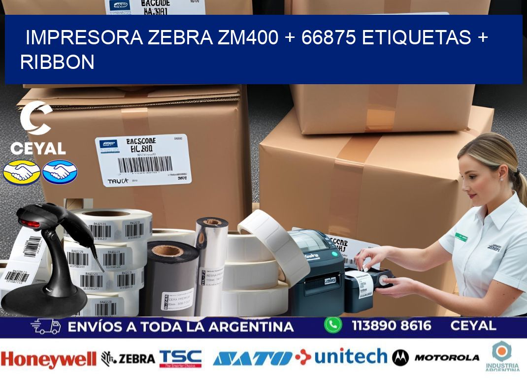 impresora zebra zm400 + 66875 etiquetas + ribbon