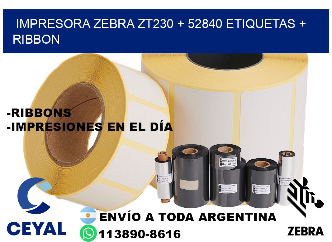 impresora zebra zt230 + 52840 etiquetas + ribbon
