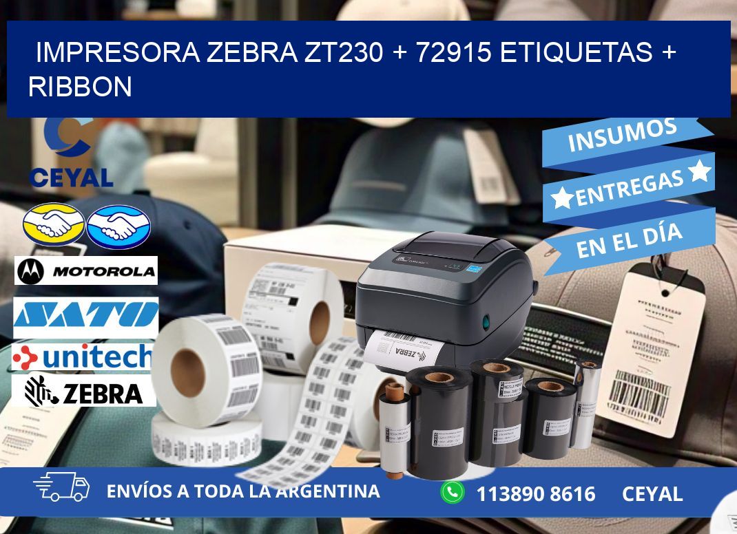 impresora zebra zt230 + 72915 etiquetas + ribbon