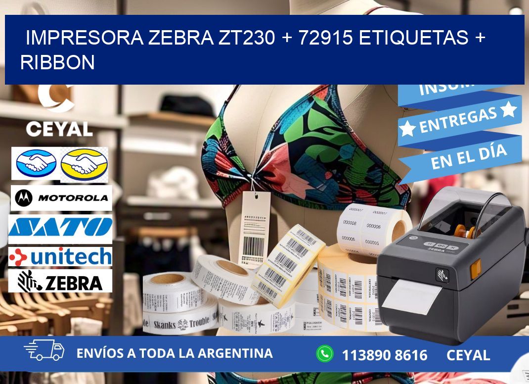 impresora zebra zt230 + 72915 etiquetas + ribbon