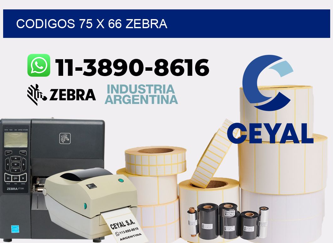 codigos 75 x 66 zebra