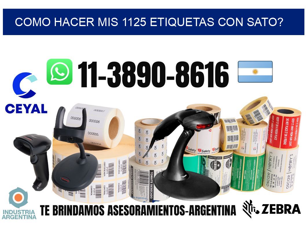 como hacer mis 1125 etiquetas con sato?