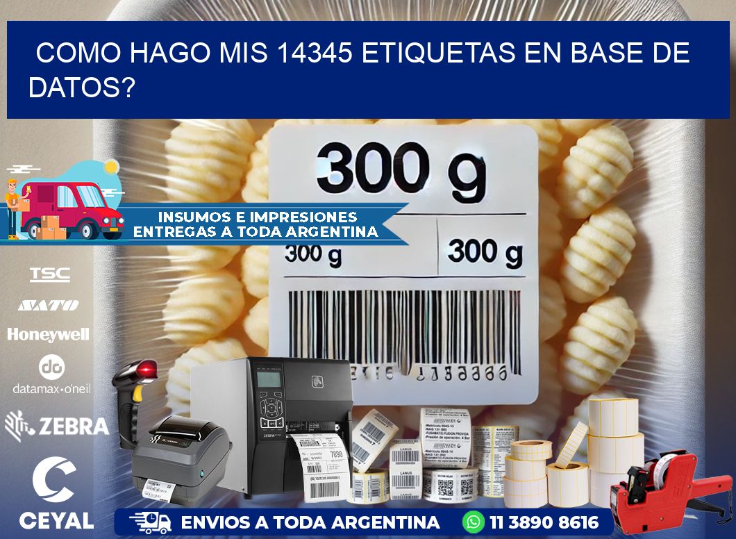 como hago mis 14345 etiquetas en base de datos?