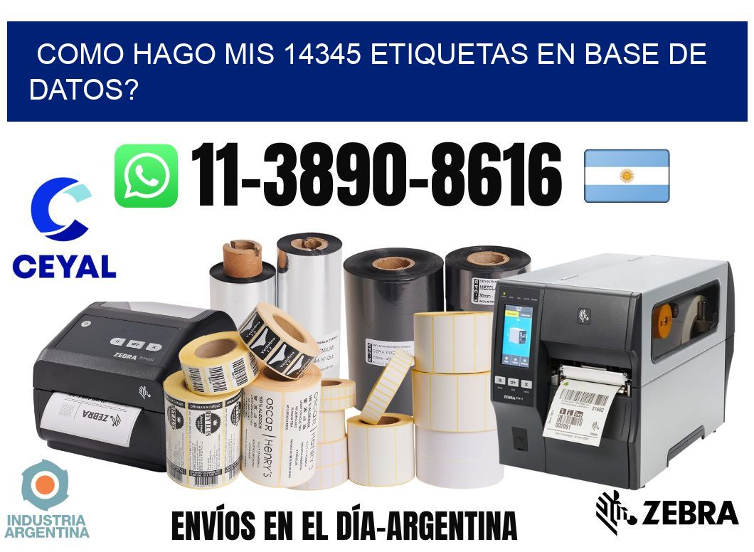 como hago mis 14345 etiquetas en base de datos?