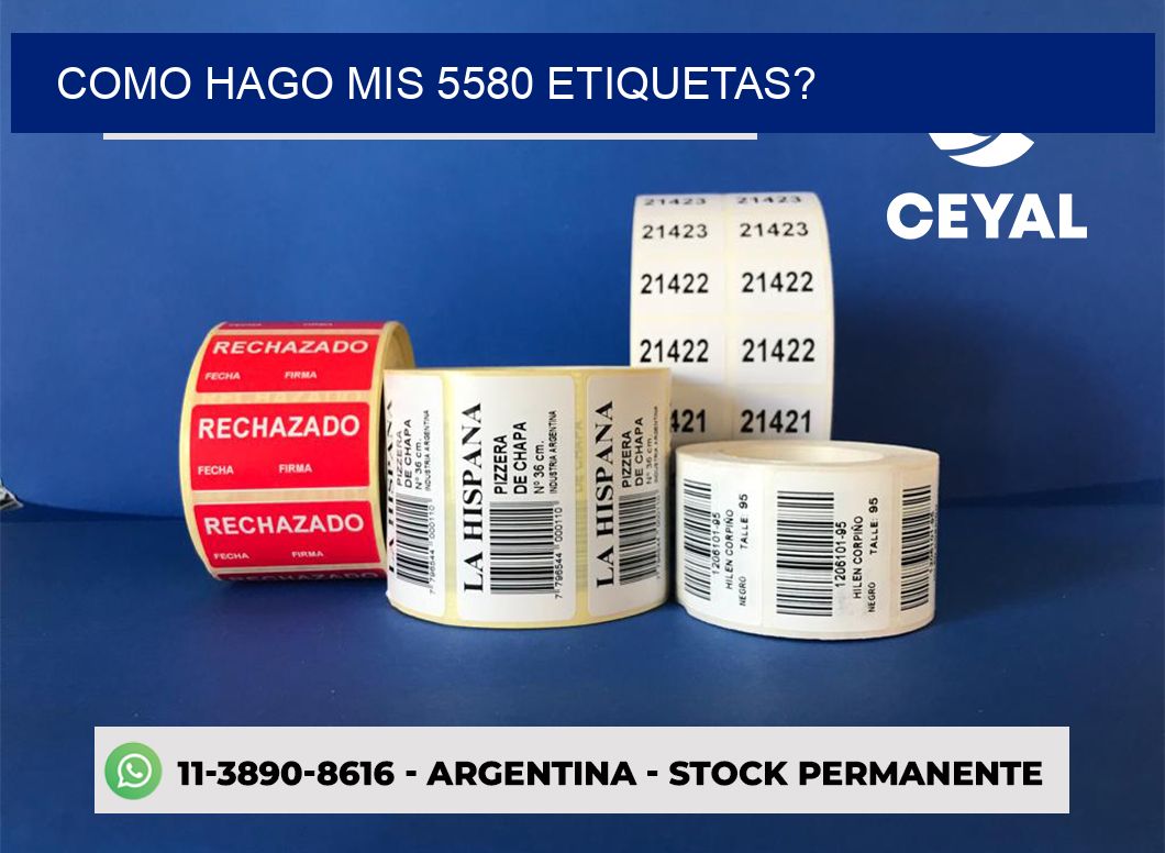 como hago mis 5580 etiquetas?