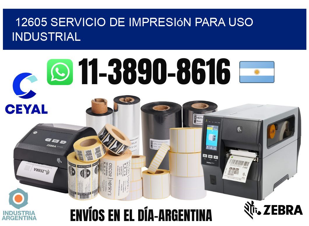 12605 Servicio de impresión para uso industrial