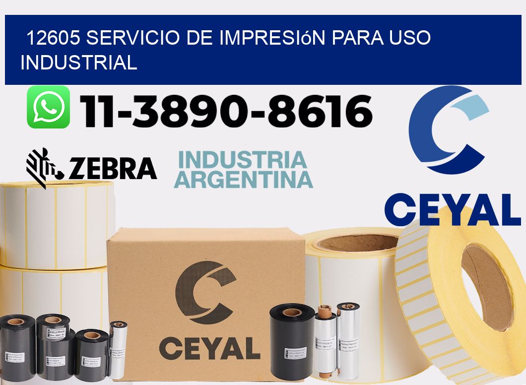 12605 Servicio de impresión para uso industrial