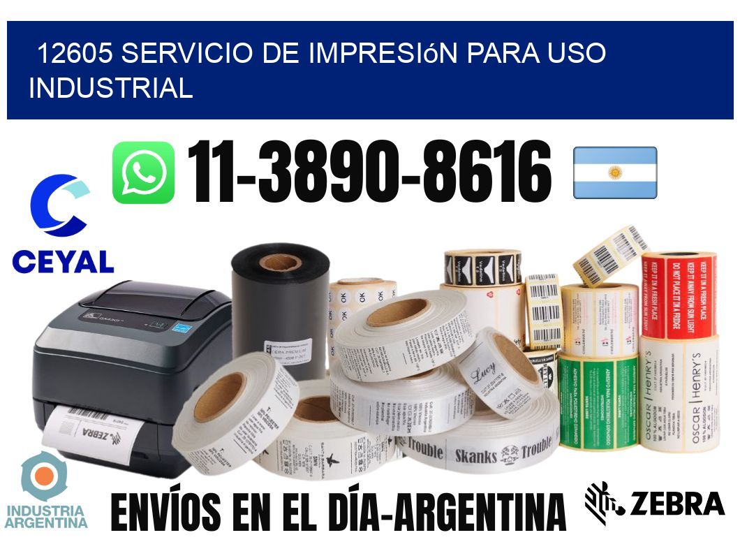 12605 Servicio de impresión para uso industrial