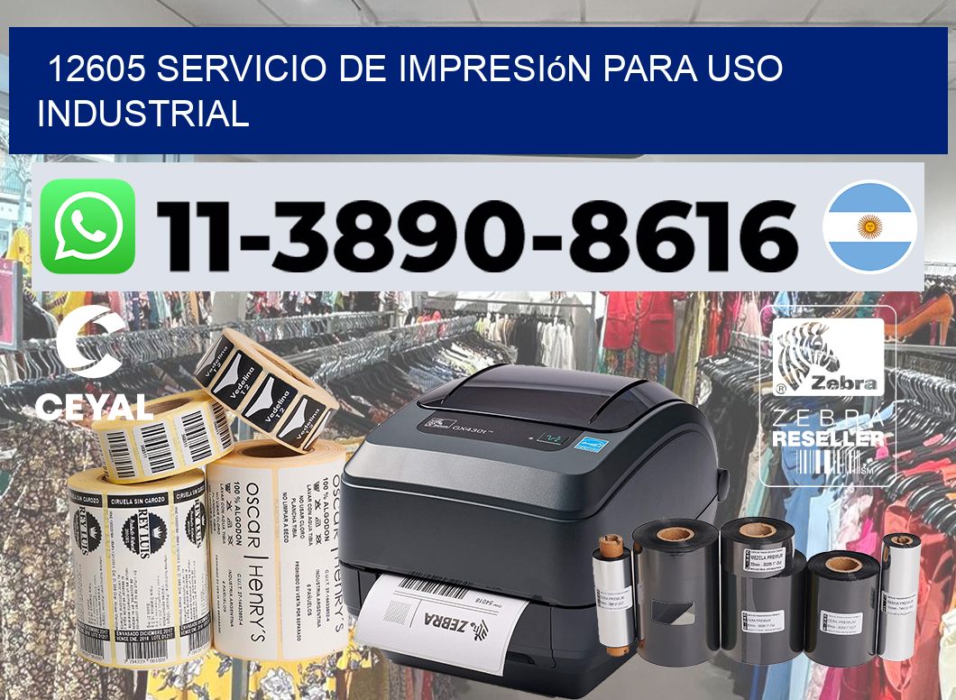 12605 Servicio de impresión para uso industrial