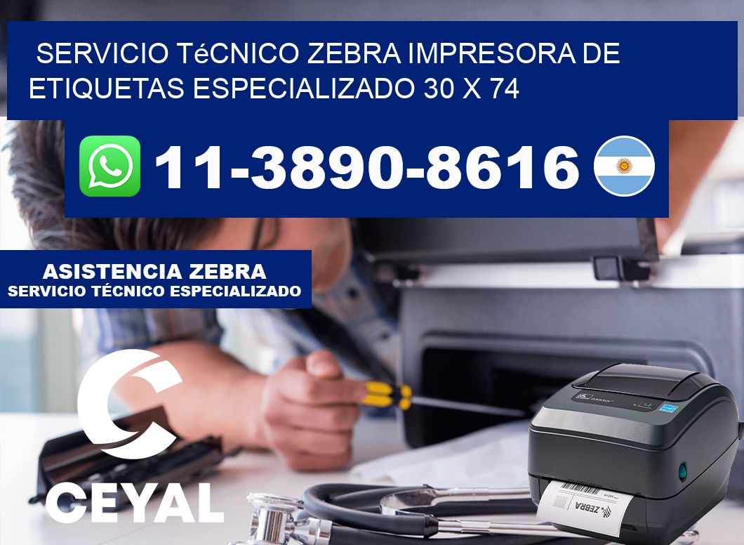 Servicio Técnico Zebra Impresora de Etiquetas Especializado 30 x 74