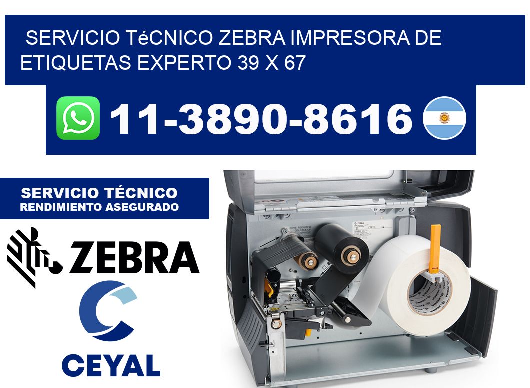 Servicio Técnico Zebra Impresora de Etiquetas Experto 39 x 67