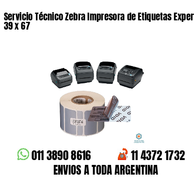 Servicio Técnico Zebra Impresora de Etiquetas Experto 39 x 67