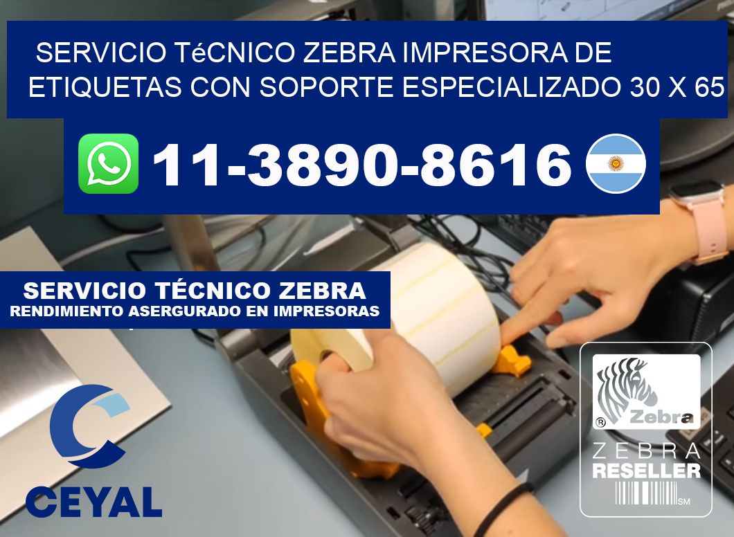 Servicio Técnico Zebra Impresora de Etiquetas con Soporte Especializado 30 x 65