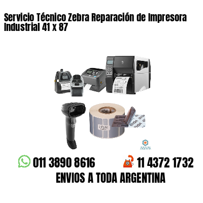 Servicio Técnico Zebra Reparación de Impresora Industrial 41 x 87