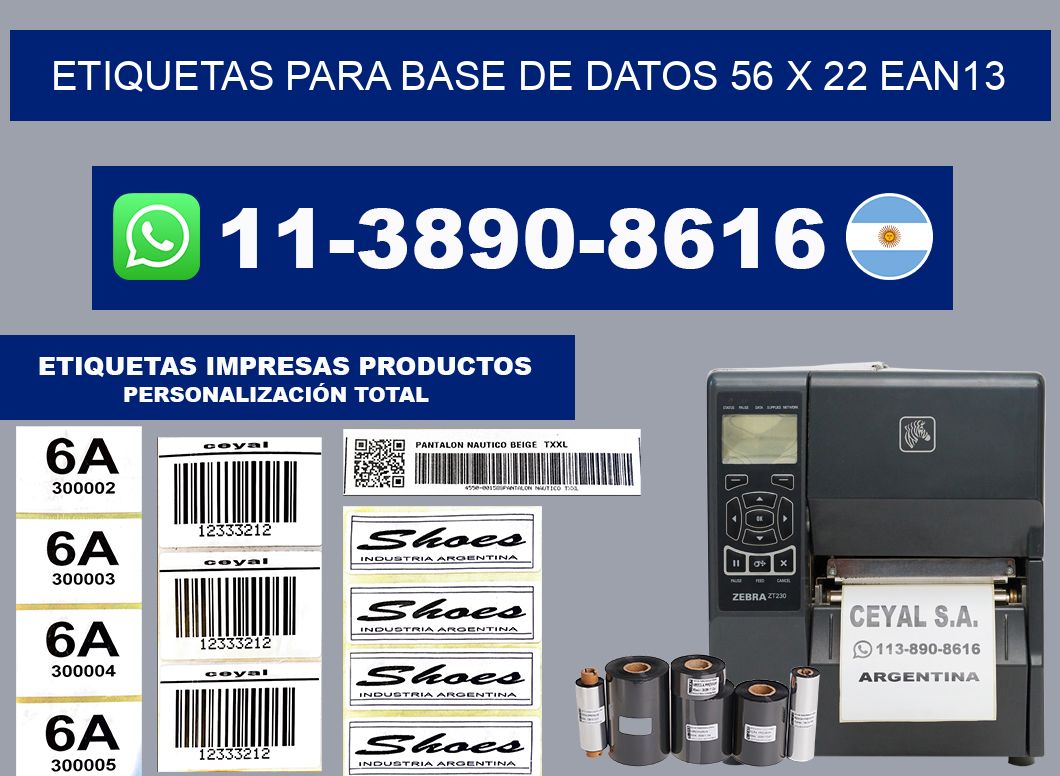 etiquetas para base de datos 56 x 22 ean13