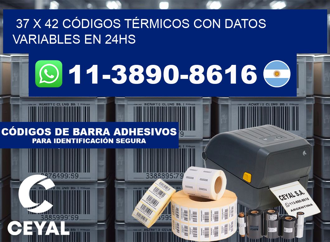 37 x 42 CÓDIGOS TÉRMICOS CON DATOS VARIABLES EN 24HS
