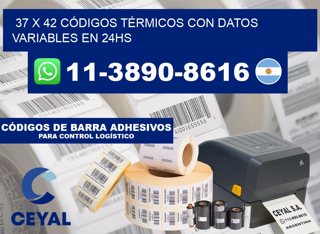 37 x 42 CÓDIGOS TÉRMICOS CON DATOS VARIABLES EN 24HS