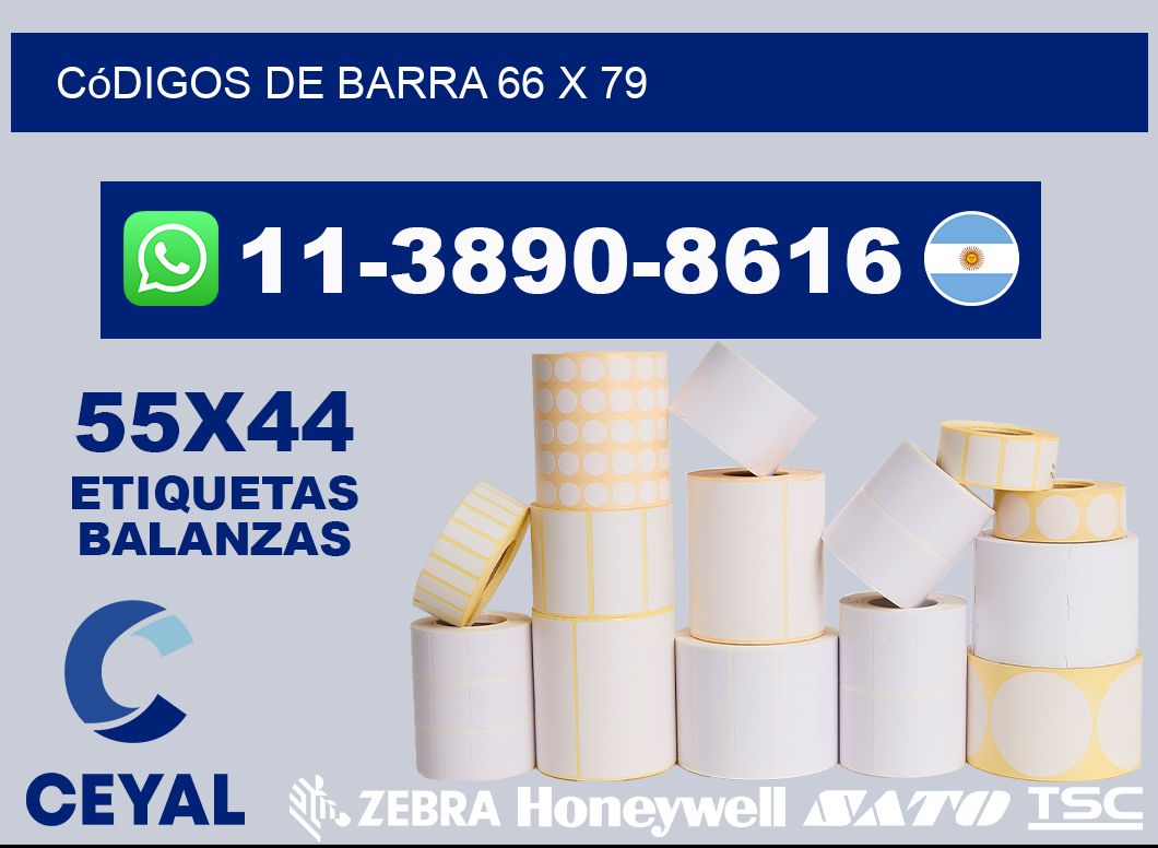 códigos de barra 66 x 79
