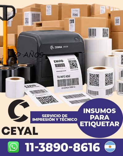 COMO UTILIZAR RIBBON RESINA - Empezá ahora